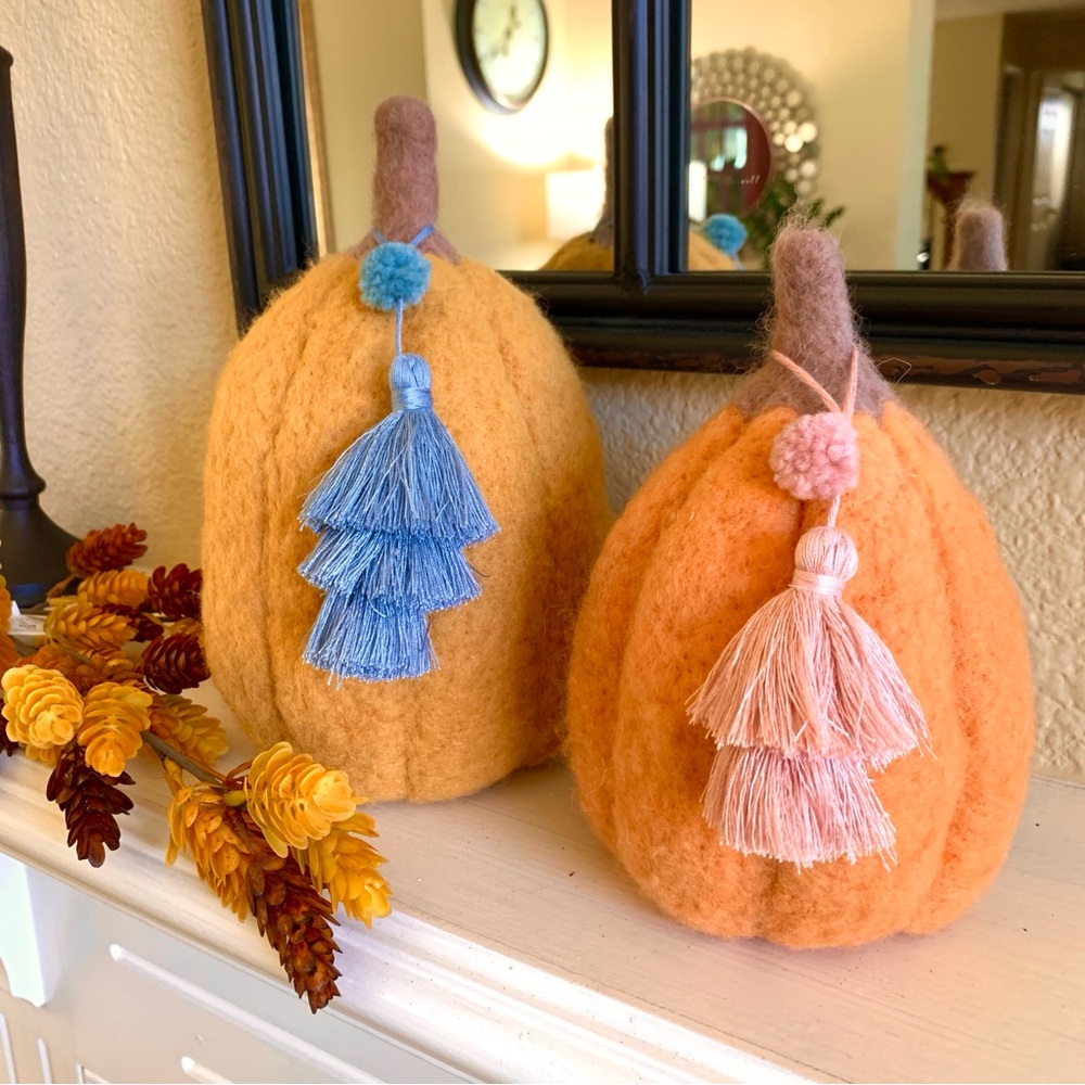 OPALHOUSE Felted Pumpkins Set (2)
